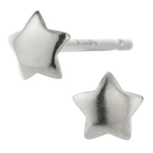ピアス レディース 日本製 K10 10金 星 スター ミニ 極小 小さい 目立ちにくい シンプル お肌に優しい 金属アレルギー対応 上品 かわいい オフィス パーティー 誕生日 記念日 プレゼント ギフ