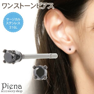 sAX ςȂ  fB[X Y { p T[WJXeX316L ubN_C VR a2mm ~j ɏ  ꗱ Xg[ 4{ Vv ɗD A