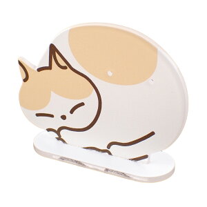 sAXX^h fB[X Y  Aj} AN L ˂ ETM VN} ANZT[X^h fBXvC CeA u JWA 킢 a LO v[g M