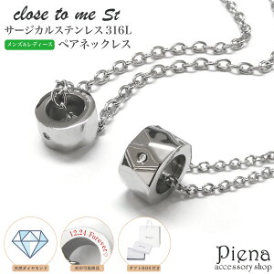 yAlbNX yAy_g Y fB[X T[WJXeX316L close to me st _Ch   O ɗD AM[Ή A Vv ꗱ Xg[