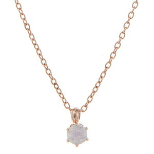 y_glbNX fB[X T[WJXeX316L VR 3mm a΃J[ 1  Vv l p[Xg[ fB[X v[gpɂ Mtg [  