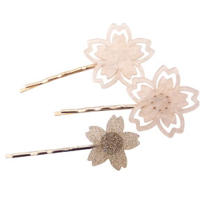 wAs wAANZT[ fB[X 3Zbg  TN   t   OwA x[VbN Vv hXɍ 킢 IV p[eB[  a LO v