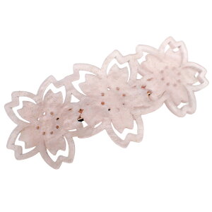 wAob^ wANbv wAANZT[ fB[X  TN   t   ~ x[VbN Vv hXɍ 킢 IV p[eB[  a L