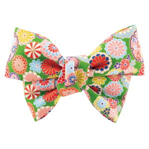 wAob^ { wAANZT[ fB[X a a ԕ t[ _ { wAANZ wANbv  ؂₩ 傫 lۂ 킢 IV p[eB[ 