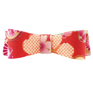 wAob^  wAANZT[ fB[X { { a a _ ԕ t[   O  a hXɍ 킢 IV p[eB[ i  