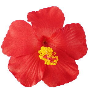 wANbv wAANZT[ fB[X nCrXJX    jNbv t_X nCA nC 썑  gsJ wAANZ r[` tHg tFX 傫߃TC