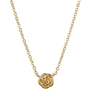 lbNX fB[X [Y KN fUC T[WJXeX AM[Ή 3J[ Vo[ S[h sNS[h i   ANZT[ v[g Mtg 