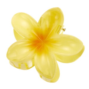 wANbv oXNbv wAANZT[ fB[X vA    t_X nCA nC 썑  gsJ wAANZ r[` tHg tFX ؂₩ qp