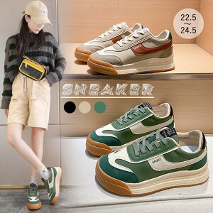 Xj[J[ fB[X tďH~ [XAbv [Jbg   zFؑ ₷ Vv l 