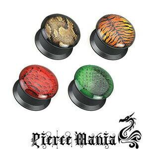 s݌Ɍt2g VuIғŃvO pC\ ^CK[ Ŏ jmAM[ Cu _utA {fB[sAX {fBs