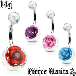 14g X[Y iKN oւsAX oiio[x{fBsAX 316L T[WJXeX AN Cu {fB[sAX ւs t[ 