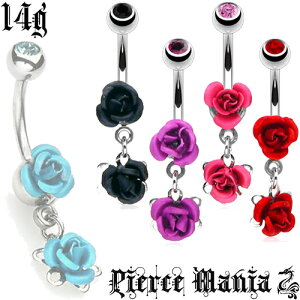 14g h_u[Y iKN oւsAX oiio[x{fBsAX 316L T[WJXeX AN Cu {fB[sAX ւs t[  14Q[W