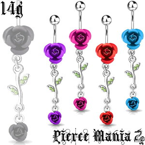 14g [sA[Y iKN oւsAX oiio[x{fBsAX 316L T[WJXeX AN Cu {fB[sAX ւs t[  14Q[W