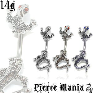 14g AI gJQ^ ւsAX U[h Ƃ QbR oiio[x{fBsAX T[WJXeX Cu {fB[sAX ւs14Q[W