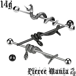 14gdȃXl[NIŎ C_XgAsAX pC\ O Xg[go[xT[WJXeX {fBsAX sAX {fB[sAX14Q[W