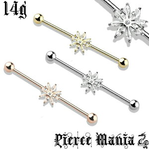 14gwIׂVtgxXm[t[N ̌ t[Y C_XgA O Xg[g WRjA CXg[ o[xT[WJXeX {fBsAX sAX {