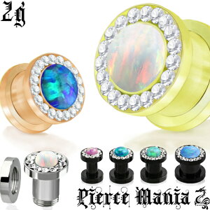 2g ₩ Ip[ WRjA c[g[vO{fBsAX T[WJXeX Cu _utA t@[XgsAX lW XN[^Cv WG 2Q[W