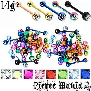 14g 嗱WG J[`^ ^o[x sAX{fBsAX `^jE Xg[go[x {fB[sAX {fBs sNS[h ubN C{[14Q[W