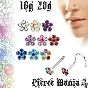 20g 18g {fBsAX Ԕ t[ mXg XN[ @sAX316LT[WJXeX m[YsAX m[YO m[YX^bY @s {fBs