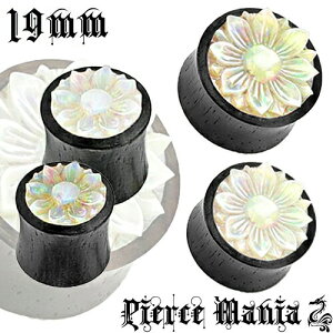 19mm  }U[Iup[ t[ Ebh vO{fBsAX R Of[V VF  i` K t[ VRf ؐ I[ sAX ؖ C[u  _u