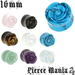 16mm ĩo VR _utA [YvO KN sAX{fBsAX Xg[ KX {fBsIjLX, zCgWFCh, ^CK[AC, AWXg, [YNH[c, Ax