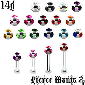 14G ґ5IWRjA 炫 WG ubg WRjA bvsAXT[WJXeX sAX gKX wbNX {fB[sAX {fBs Cu sAX