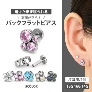 ピアス 4g ボディーピアス ボディピアスの通販 価格比較 価格 Com