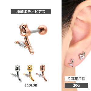 yX3_ȏ20OFFN[|z킢 {fBsAX 20G v`[Yo[x Soeur de Nana Xg[go[x {fB[sAX sAX gKX wbNX