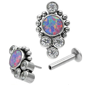 yP5{11/23 23:59܂ŁzylWsv/CŃbNzςȂsAX {fBsAX 20G 18G 16G Ip[NX^[vbVsubg gKX sAX yЎpz y30Ԃ