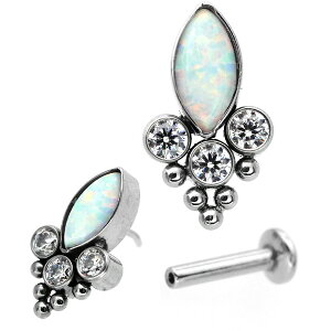 yP5{11/23 23:59܂ŁzylWsv/CŃbNzςȂsAX {fBsAX 20G 18G 16G }[L[YXg[WGNX^[vbVsubg gKX sAX yЎ