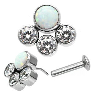 yP5{11/23 23:59܂ŁzylWsv/CŃbNzςȂsAX {fBsAX 20G 18G 16G Ip[WGNX^[vbVsubg gKX sAX yЎpz y30