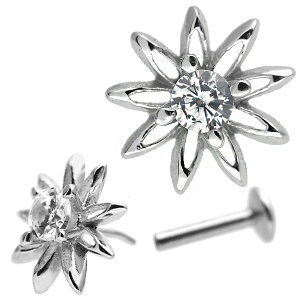 yC̗͂ŊOɂzςȂsAX {fBsAX 20G 18G 16G yP[Xtz 14 ԃ`[t̃zEt[vbVsubg gKX sAX yЎpz y30Ԃ