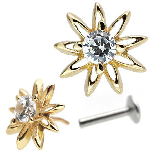 yC̗͂ŊOɂzςȂsAX {fBsAX 20G 18G 16G yP[Xtz 14 ԃ`[t̃zEt[vbVsubg gKX sAX yЎpz y30Ԃ