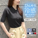 特別price！≪送料無料≫接触冷感 ボタンが選べるリブポロニット ☆ ニット 接触冷感 ポロデザイン サマーニット ボタン パール スタッズ リブ 洗える 五分袖 ピエロ【Pierrot】