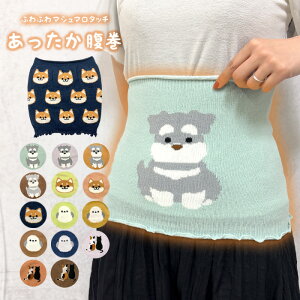 y1000~|bLzӂ RR g fB[X  ӂӂ  킢 ₦ A_[EGA ю   }V}^b` V}GiK Č