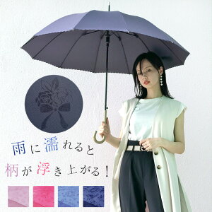 P fB[X Jp Pp 12{  P JP UVJbg wq 55cm ܂Ƃߔ Wv ϕ  OXt@Co[ o n ԕ 킢 v[g Mtg 