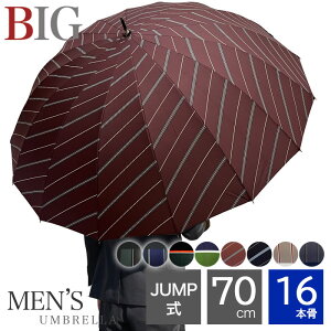 P Y 傫 \ɋ 16{ ^b`  l uh 傫P WvP ȎP 16{ 70cm   P JP OXt@Co[ v ܂Ȃ ϕ amP j rWlX