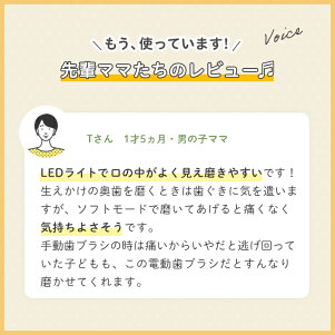 楽天市場 はじめての仕上げ専用電動歯ブラシ ピンク ピジョン 歯磨き 歯磨 はみがき ハミガキ 歯ブラシ ハブラシ はぶらし やわらか やわらかめ 乳歯 赤ちゃん 赤ちゃん用 赤ちゃん用品 ベビー ベビー用 ベビー用品 ベビーグッズ こども 子ども 子供 子供用 電動 電動