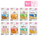【3個セット】ベビーフード　食育レシピ 80g　9ヵ月頃から | ベビーフード 離乳食 おやつ 赤ちゃん ベビー ベビー用品 ピジョン 幼児食 簡単調理 ごはん レトルト レトルトパウチ　栄養士