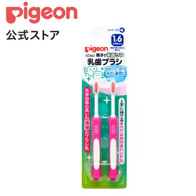 乳歯ブラシ レッスン段階4（ピンク）2本入|1才6ヵ月頃〜 ピジョン 歯 歯磨き 歯磨 はみがき ハミガキ 歯ブラシ ハブラシ はぶらし 乳歯 赤ちゃん 赤ちゃん用 赤ちゃん用品 ベビー ベイビー ベビー用 ベビー用品 ベビーグッズ 子育て こども 子ども 子供 子供用