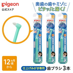 y3{zdグp|Cg݂| 12J` sW    ݂͂ n~KL uV nuV ͂Ԃ炵  Ԃ Ԃp Ԃpi xr[ xCr[ xr[p 