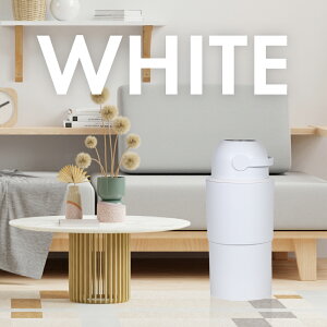 ނXe[ BIG(rbO) | 0` ނ IcL S~ ނy[ Wt  Ԃpi xr[pi ނ