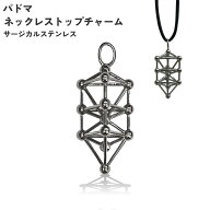 【対象商品2点購入で10%OFF★5/16 1:59まで】＼P12／パドマ ネックレス トップ チャーム サージカルステ…