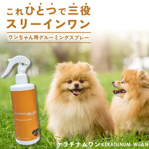 yN[|200~OFF10/9 1:59܂ŁzP`i 300ml KERATUNUM-WuAN O[~OXv[ hCVv[ O[~O Xv[ ubVO  ybgPA ybg