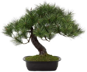 �A�����W�~�� �x�m�̏� �� �x�m ���S�� �������s�v �x�m�R ���G�} �R�� ���L ����y �C���e���A �h�V�̓� �v���[���g �M�t�g ����