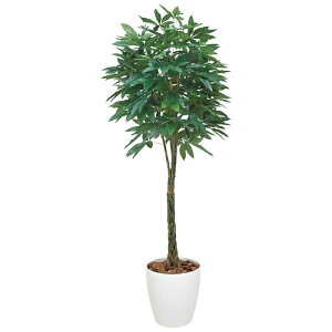 yN[|200~OFF11/16 23:59܂Łz̓ Mtg G} ̊y pL2.0 140F700 lHA  tFCNO[ CeA L R hʁI sv ̓