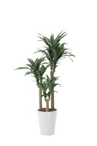 ̊y G}H lHϗtA K̖ 1.6m 400A300 G} lHA R L Mtg  ^ CeA ϗtA ̓