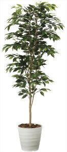 G} ̊y xW~1.8 2014A300 lHA  tFCNO[  CeA tA^Cv LERہEhʁIEsvI 70×s65×180cm ̓