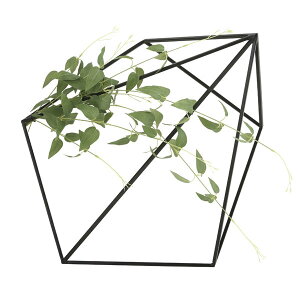 A[gO[ lHϗtA G} ̊y ǖʗΉL\E 2002A120 tFCNO[ R  v[g CeA ̓