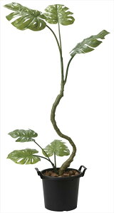 G} ̊y CeAXe1.72025A250 lHA  tFCNO[  CeA tA^Cv  80×s58×170cm ̓